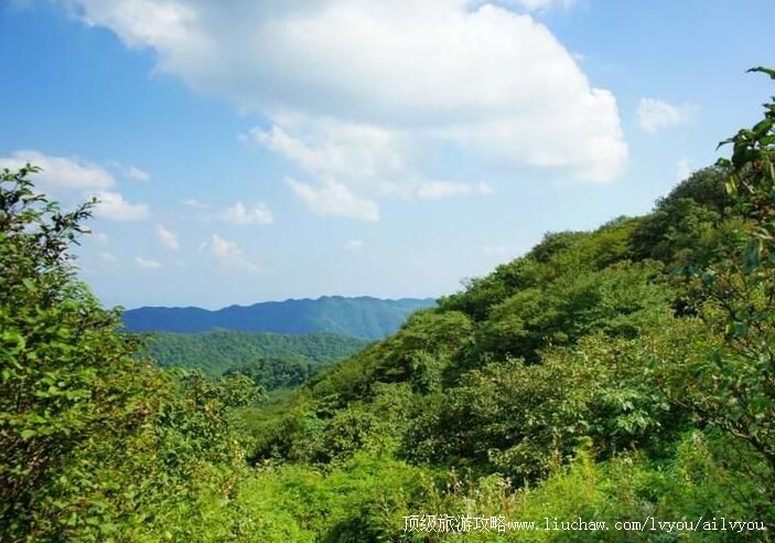 5A重庆南川金佛山-神龙峡旅游攻略