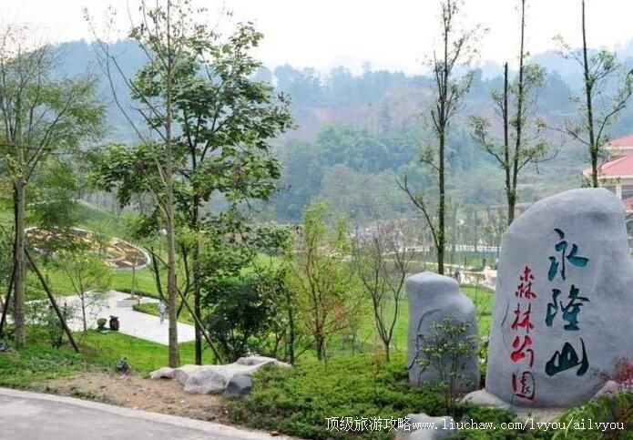 3A重庆南川永隆山森林公园旅游攻略