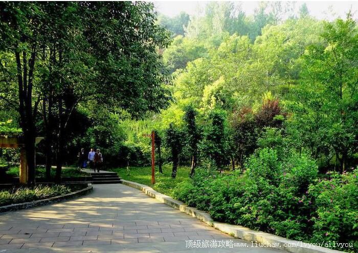 3A南川花山公园旅游攻略