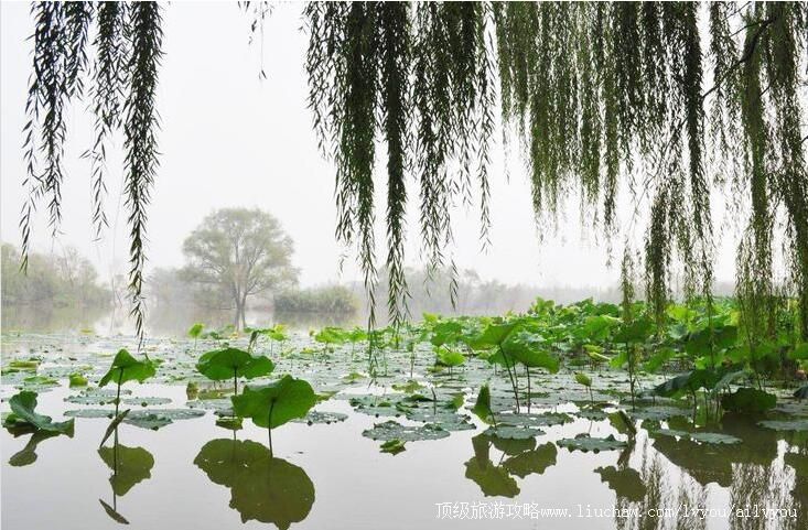 3A陕西西安灞桥生态湿地公园旅游攻略