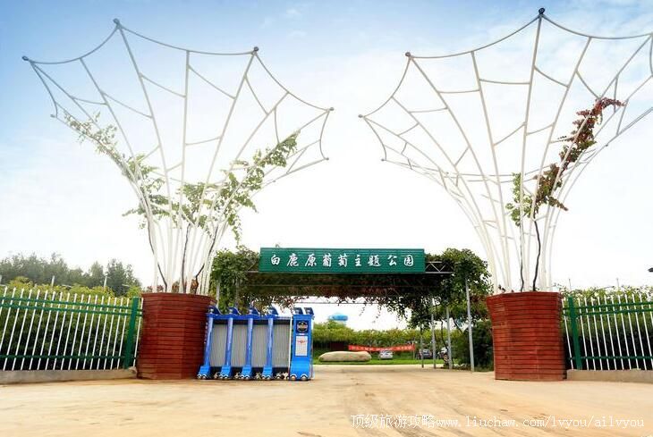 3A陕西西安白鹿原葡萄主题公园旅游攻略