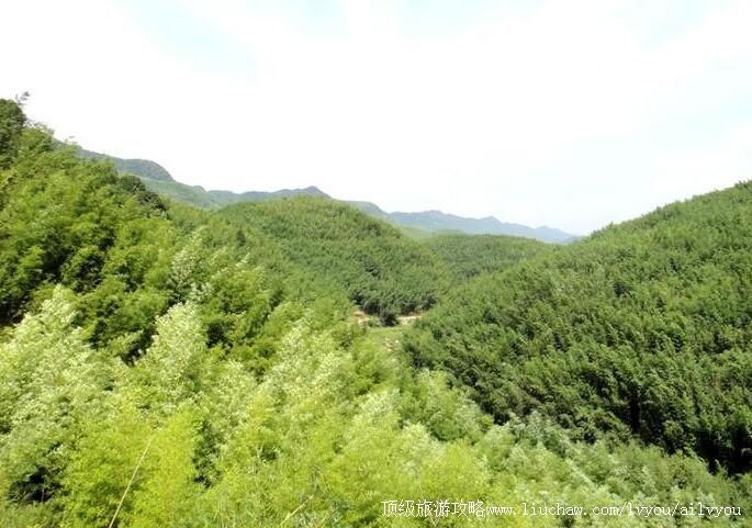 ������ƽ�����񺣷羰�����ι���