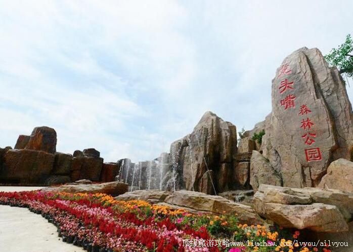 4A重庆开州龙头嘴森林公园旅游攻略