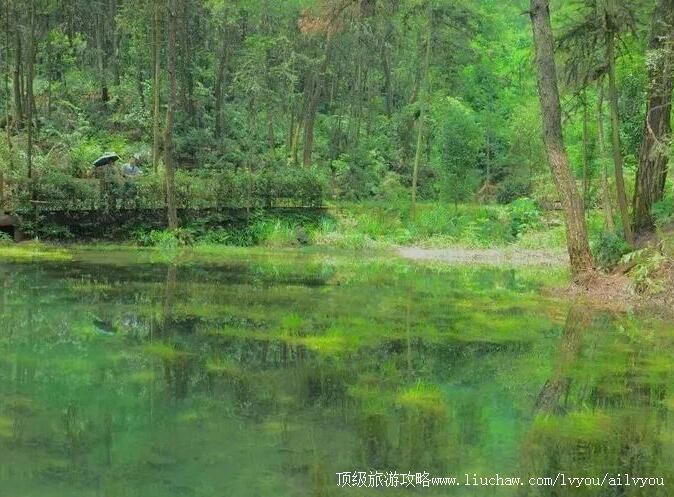 3A重庆九龙坡九凤山景区旅游攻略