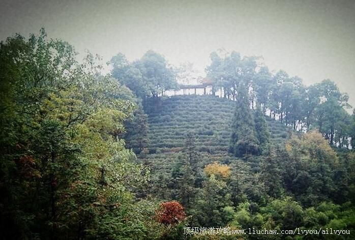 2A重庆江津骆騋山风景区旅游攻略