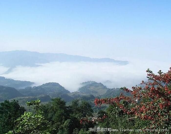 重庆圣灯山森林公园旅游攻略