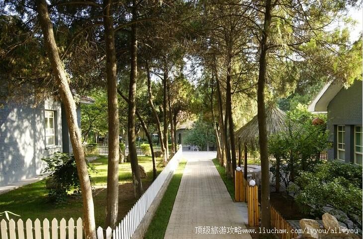 3A陕西西安常宁宫旅游攻略