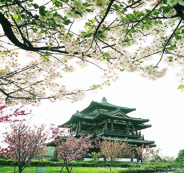 3A陕西西安青龙寺旅游攻略