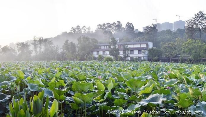 3A四川宜宾天池公园旅游攻略