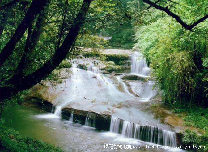5A四川雅安碧峰峡旅游攻略