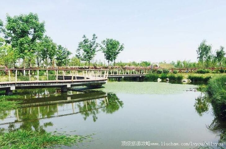 3A���������㶫�����̬�������ι���