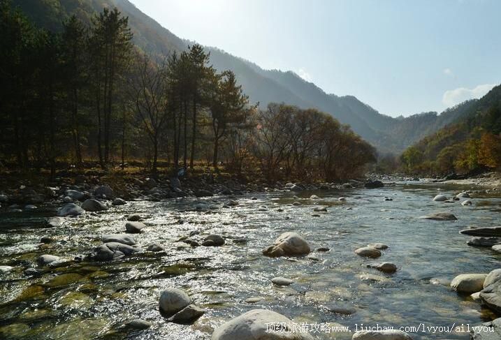 4A陕西黑河国家森林公园旅游攻略