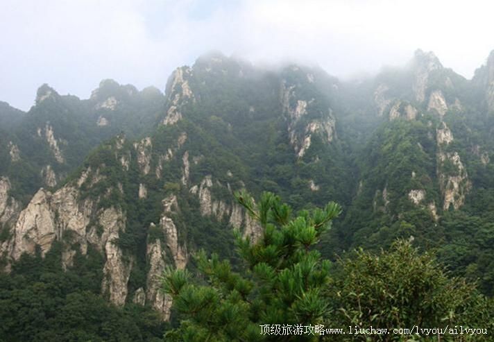 4A陕西蓝田王顺山国家森林公园旅游攻略