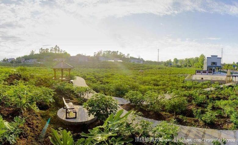 4A�Ĵ���Զ�����޻�������԰���ι���