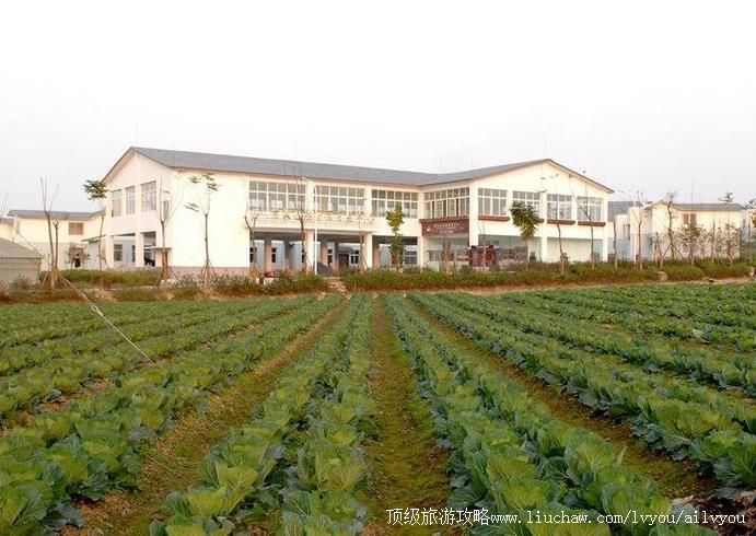 3A�Ĵ��ϳ��ƺ���ɽ���ξ������ι���