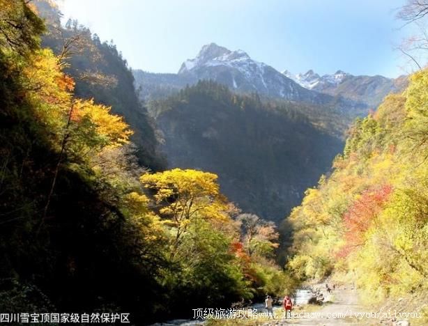 四川雪宝顶国家级自然保护区旅游攻略