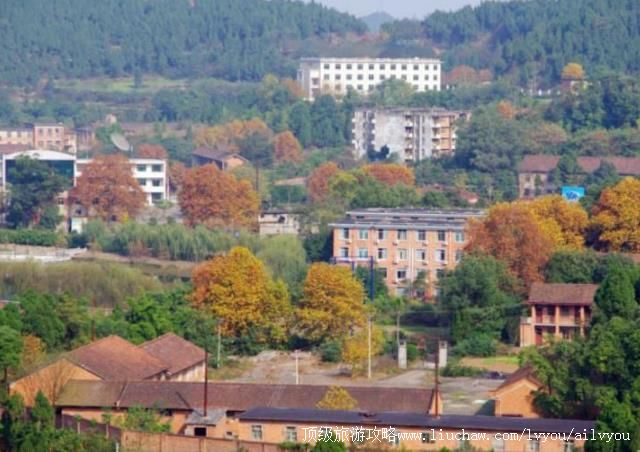 4A�Ĵ������й����������ι���