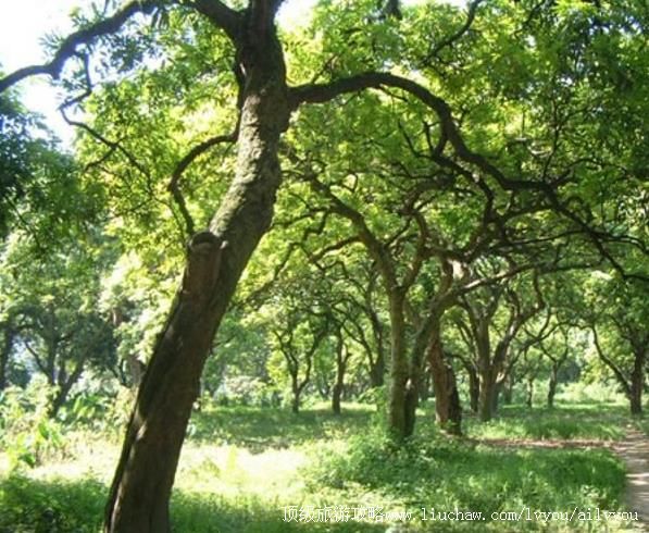 4A�Ĵ������Űӹ�Բ�����ι���