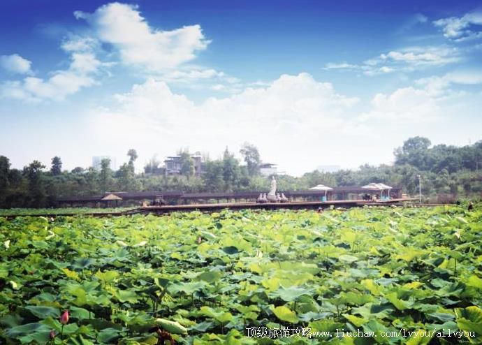 4A四川泸县龙桥文化生态园旅游攻略