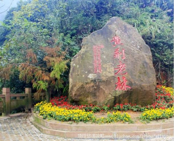 4A四川黄荆老林旅游攻略