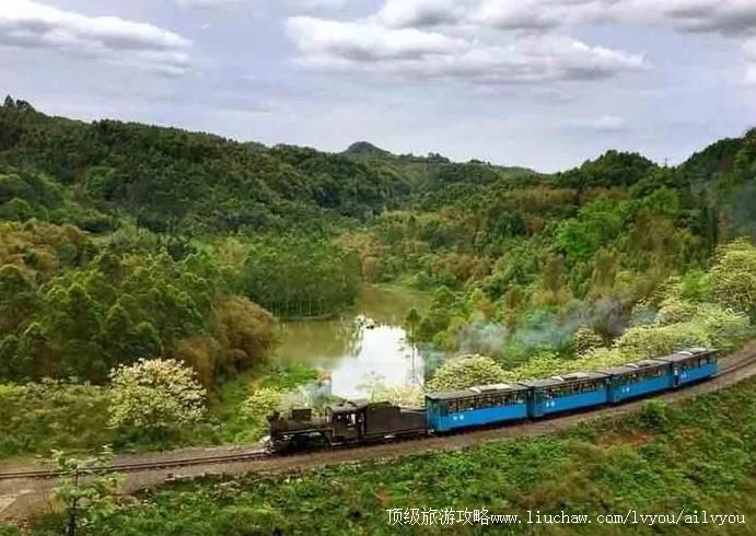 4A四川犍为嘉阳桫椤湖景区旅游攻略