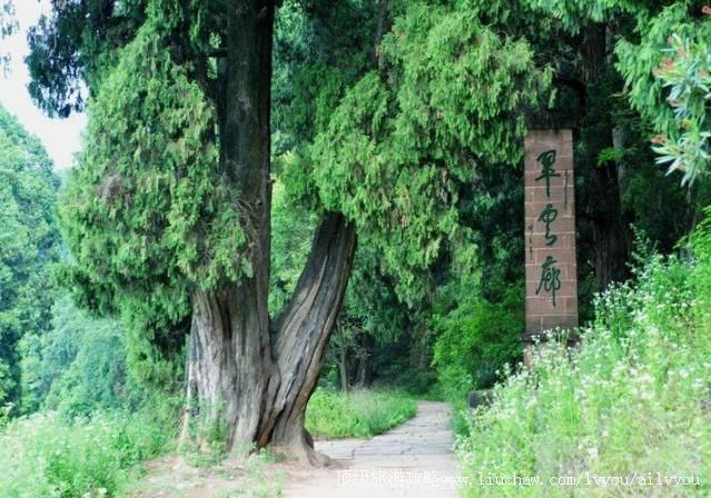 4A四川剑阁翠云廊旅游攻略