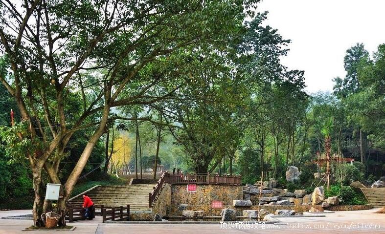 3A�Ĵ��㰲������԰���ι���