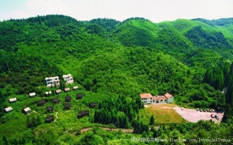 2A四川广安华蓥山水杉山庄旅游攻略