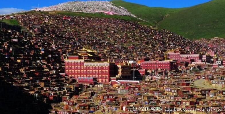 �Ĵ�����������ѧԺ���ι���