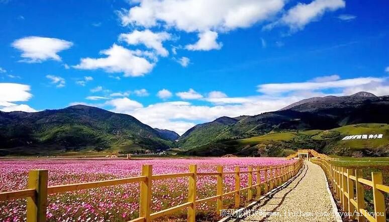 4A�Ĵ������ذ��������������ι���