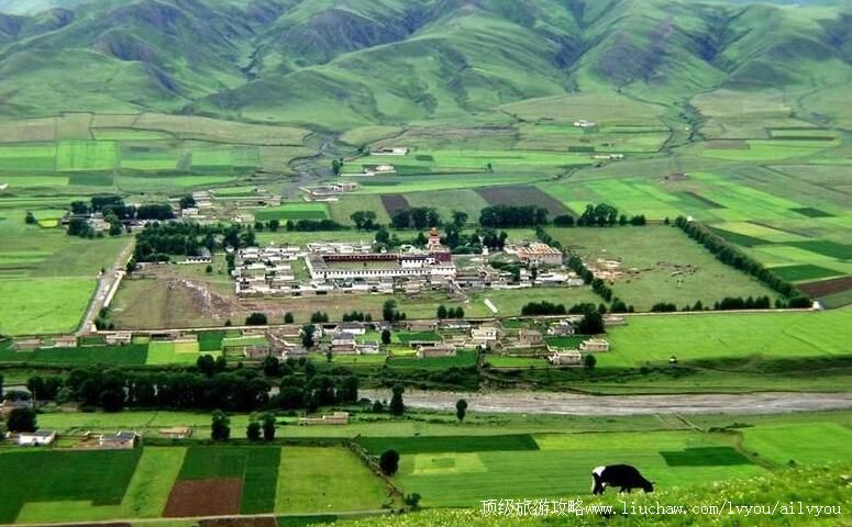 4A�Ĵ�����ľ�Ÿ´ﾰ�����ι���