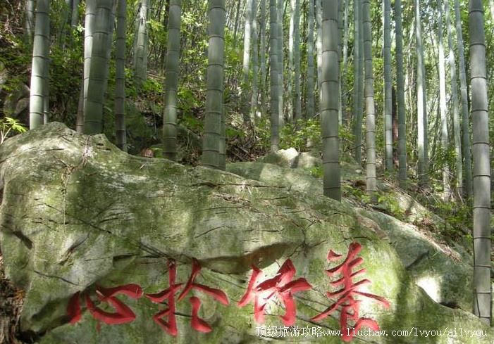 4A四川大竹五峰山国家森林公园旅游攻略