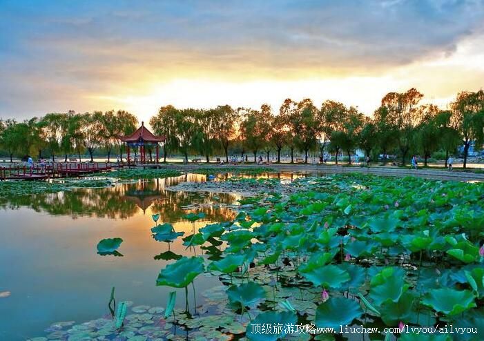 4A����������԰�������ι���