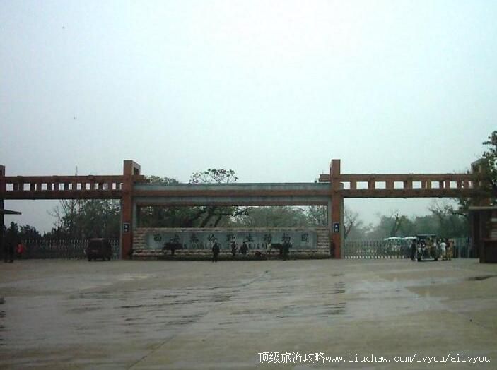 4A������������Ұ������԰���ι���