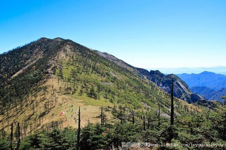 4A����������ȸ����ɭ�ֹ�԰���ι���