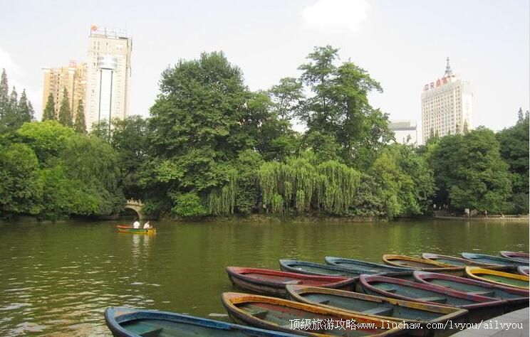 �Ĵ��ɶ�����԰���ι���