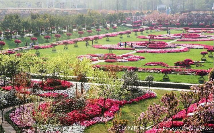 4A四川新津花舞人间旅游攻略