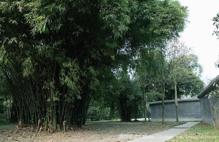 4A四川新津斑竹林公园旅游攻略