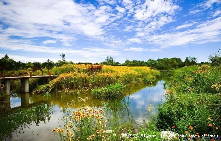 4A四川温江幸福田园旅游攻略