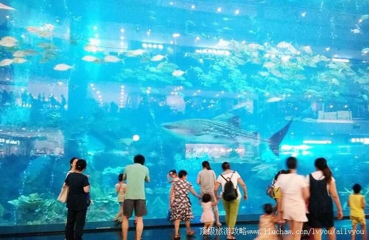 4A四川成都蛟龙港海滨旅游景区旅游攻略