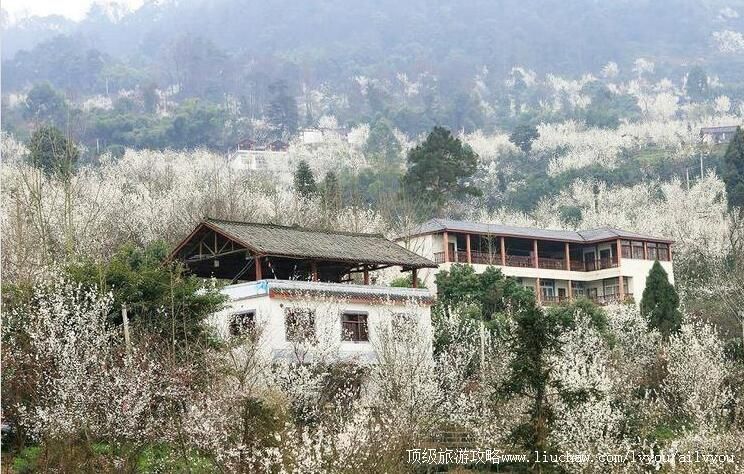 3A�Ĵ��ѽ�ӣ��ɽ�羰�����ι���