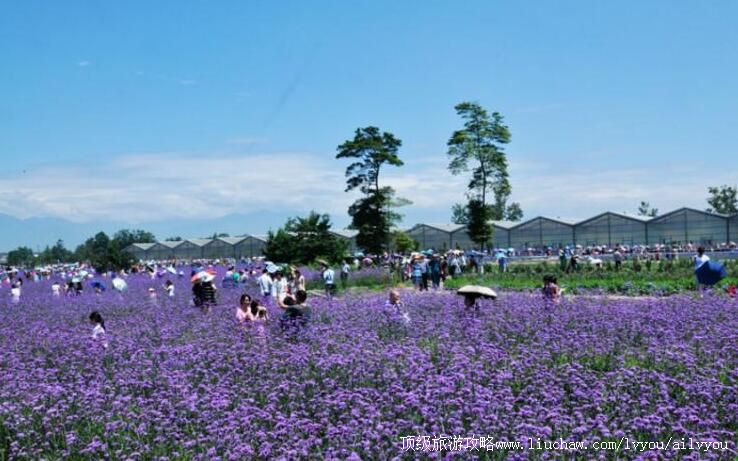 3A�Ĵ�ۯ��ս��5���������ξ������ι���