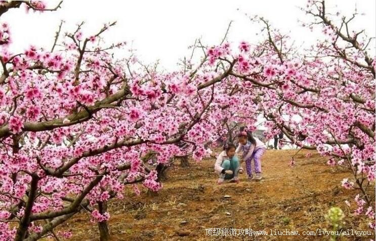 3A�Ĵ�����������Դ�������ι���