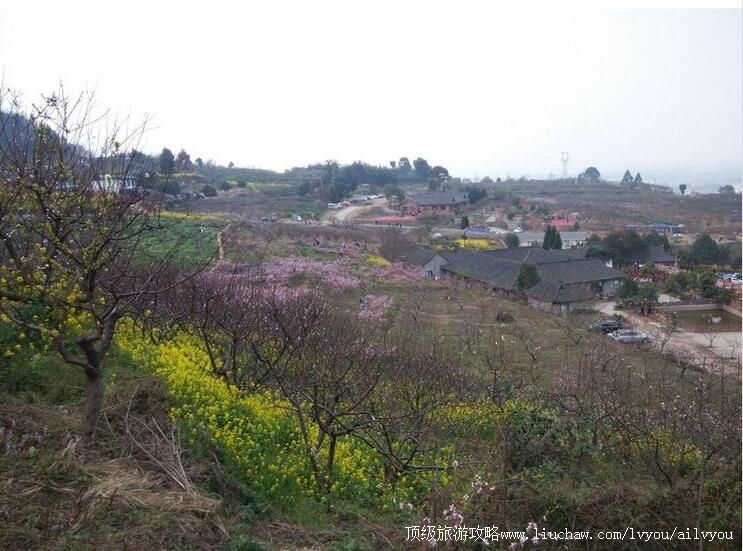 3A�Ĵ��ɶ���׽��ͼ��ӻ������ι���