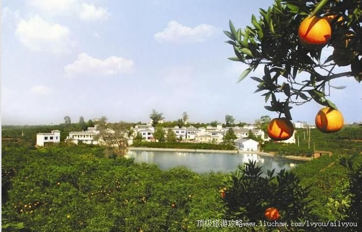 3A�Ĵ��ɶ������й����֮�����ι���