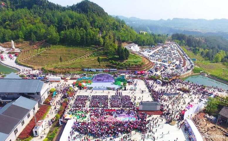 4A四川巴中南江云顶茶乡旅游景区旅游攻略