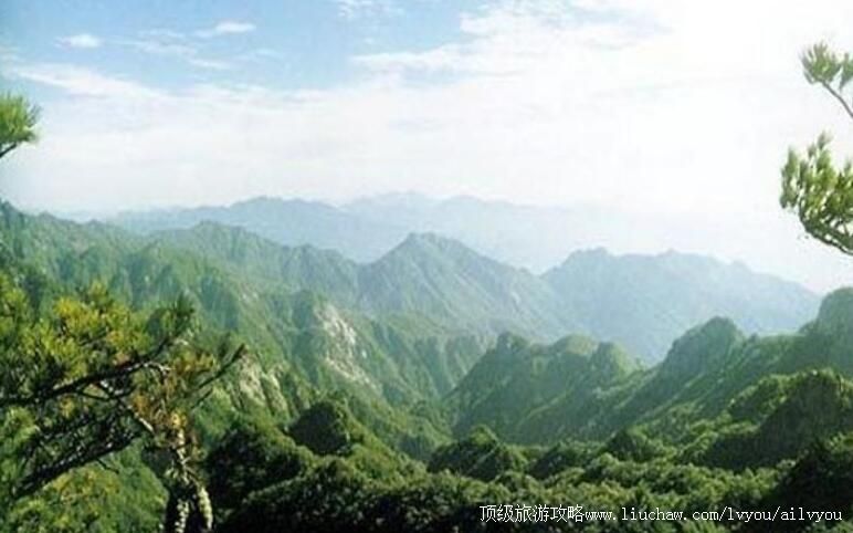 2A�Ĵ���������ɭ�ֹ�԰���ι���