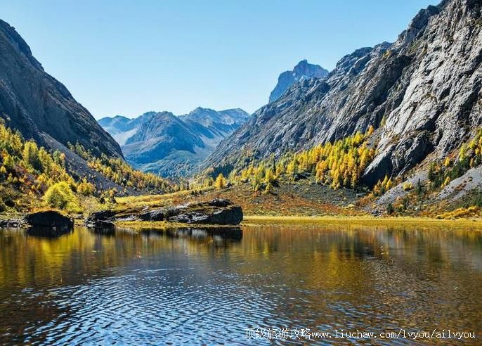 �Ĵ��߲ع����ι���