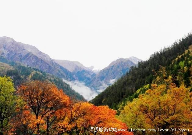 �Ĵ������޷羰��ʤ�����ι���