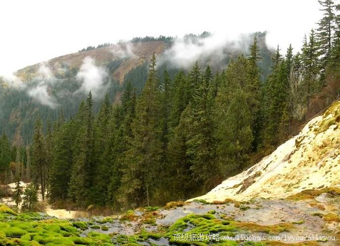 �Ĵ����ӿ������羰�����ι���